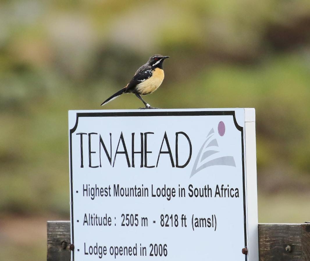 Tenahead Lodge & Spa Rhodes Luaran gambar